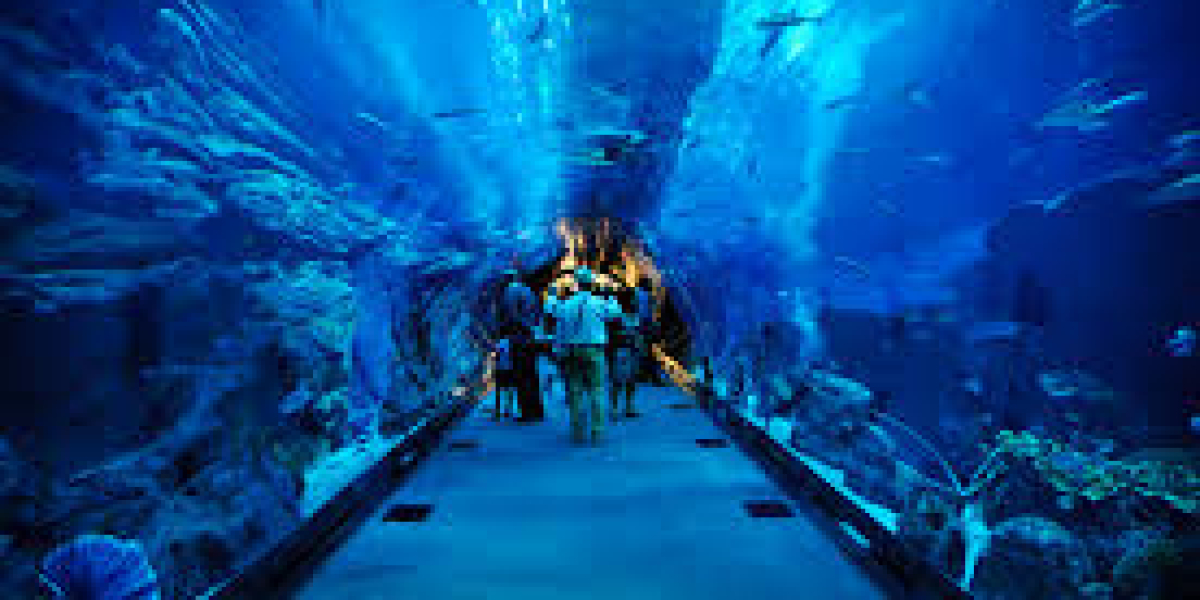 Family Fun at Dubai Aquarium & Underwater Zoo - A Must-Visit Attraction