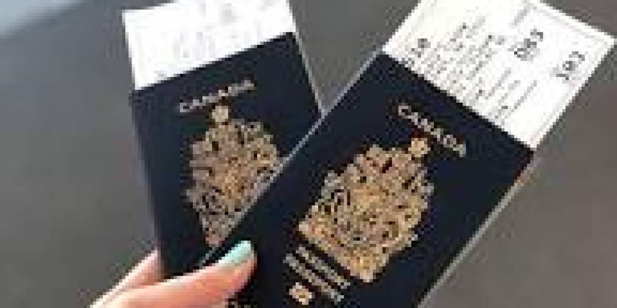 Long Stay Visa Visitor