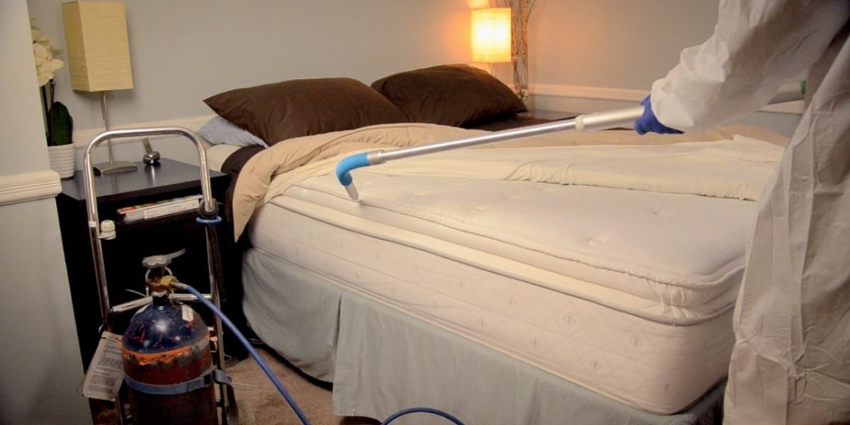 What You Can Honestly Expect to Pay for Bed Bug Solutions in 2025