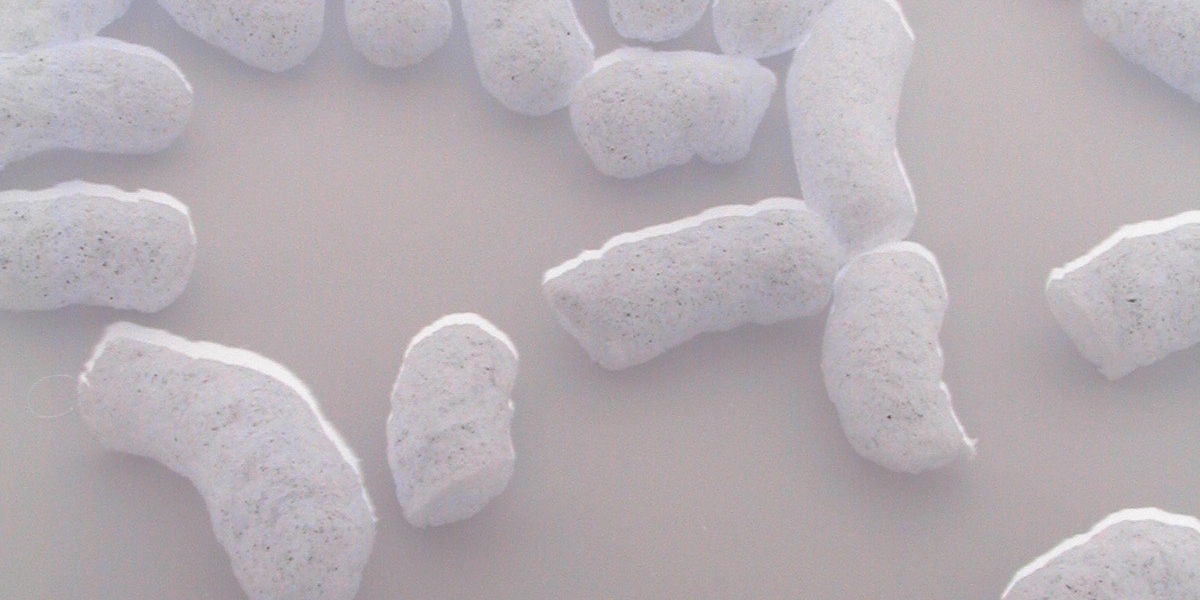 Bonuses and Online Games 2025