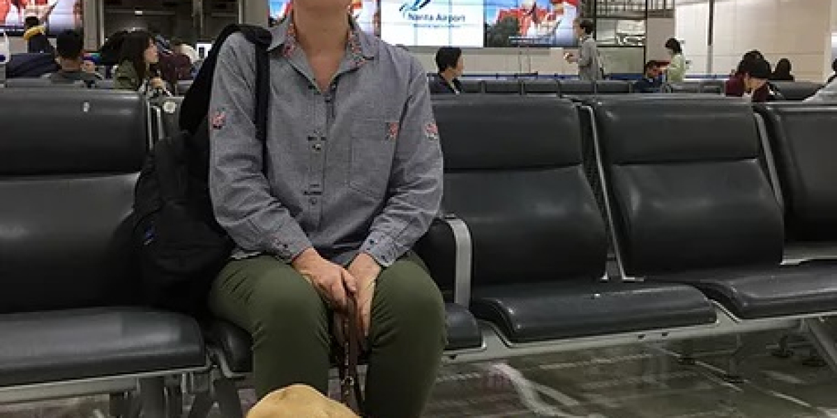 寵物移民日本指南：完整流程與注意事項，讓您的毛孩安全順利入境