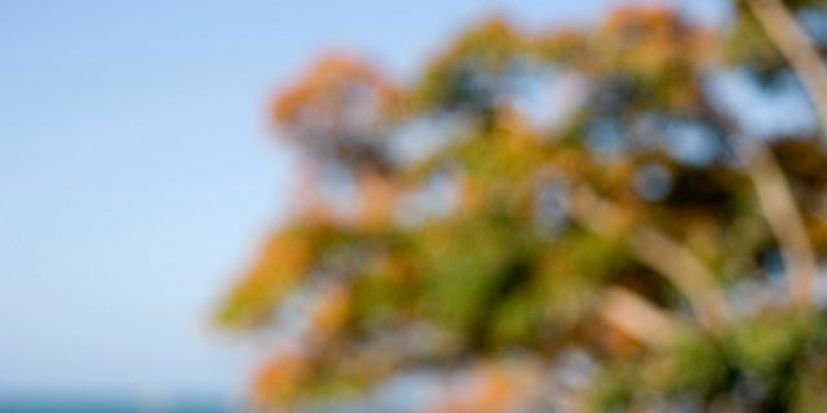 The Star ASX: SGR: How a Sydney casino was brought undone