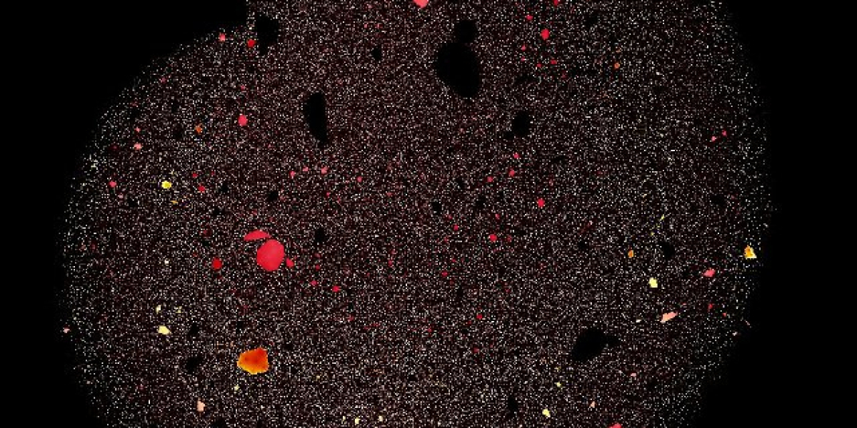 Chow Tai Fook probity and Brisbane casino: Inside the awkward release of an alarming report