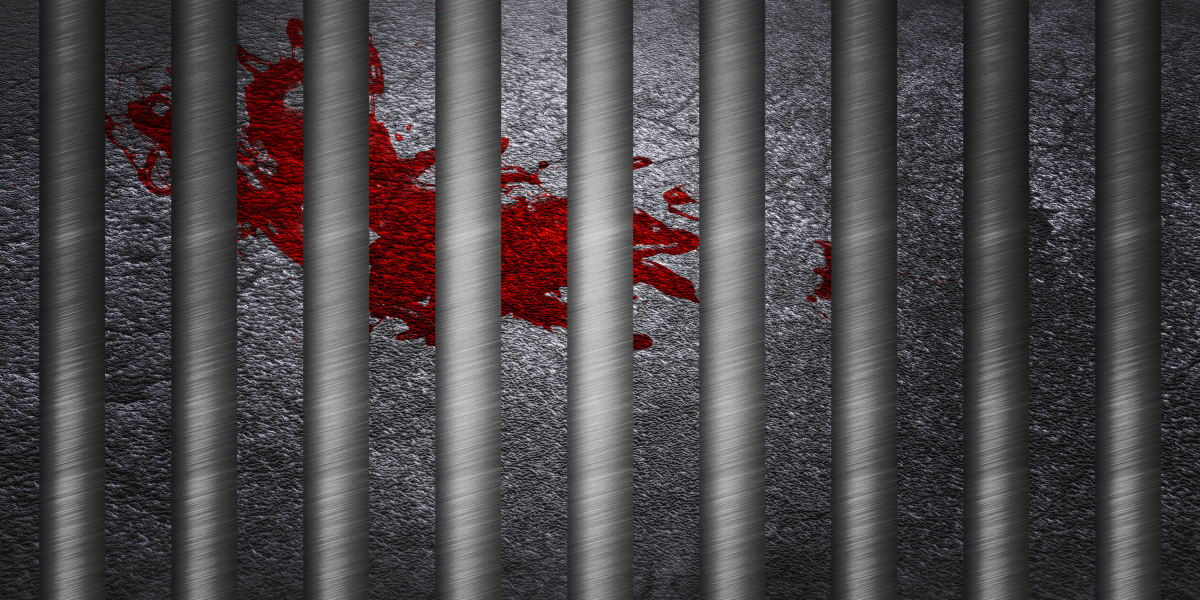 Observational Research on the Ordering Patterns of Provigil: Insights And Implications