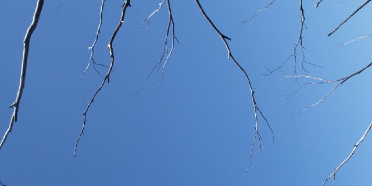 Casino Mate: Royal Treatment & Top-Notch Support