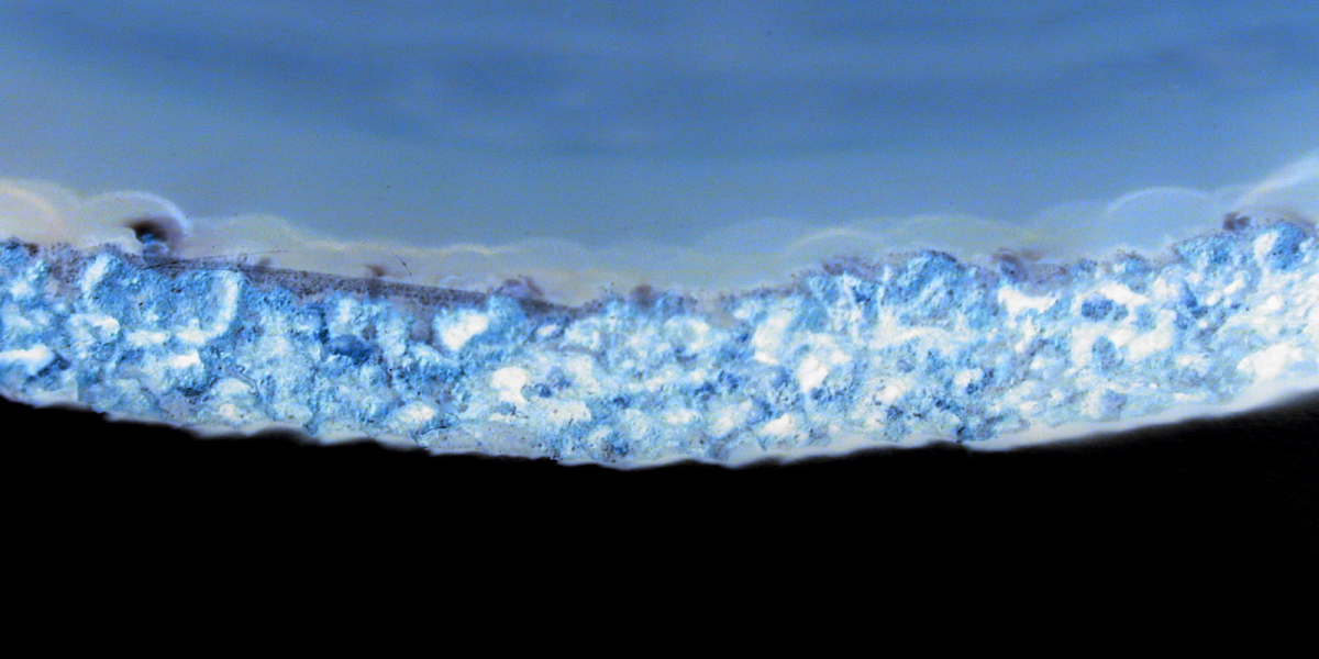 King Billy Casino Australia 5,000+ Pokies, Fast Payouts & Huge Bonuses