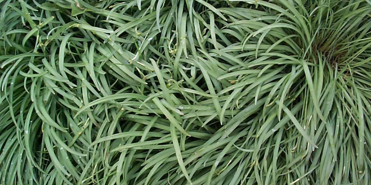 15 Best Online Casinos Australia 2025 Real Money Casino Sites