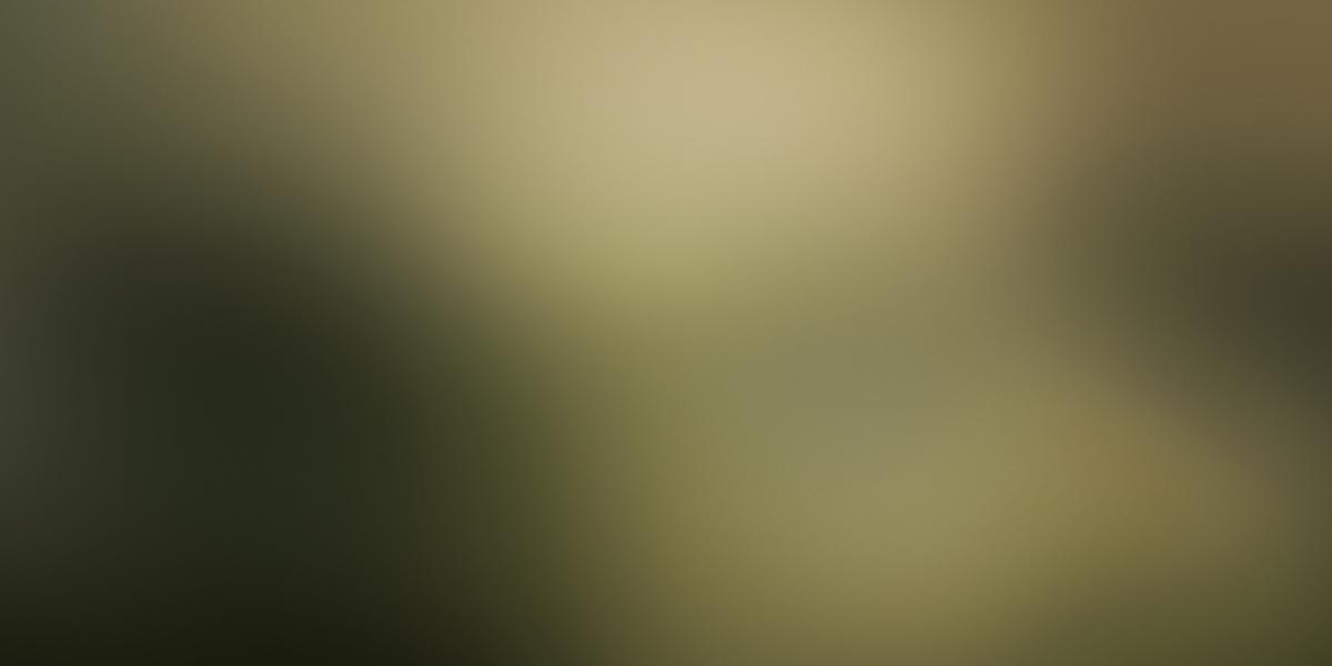 The Dynamics and Investment Potential of Gold Bullion For Sale