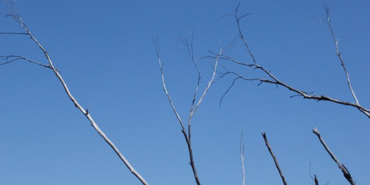 Online Games & Entertainment