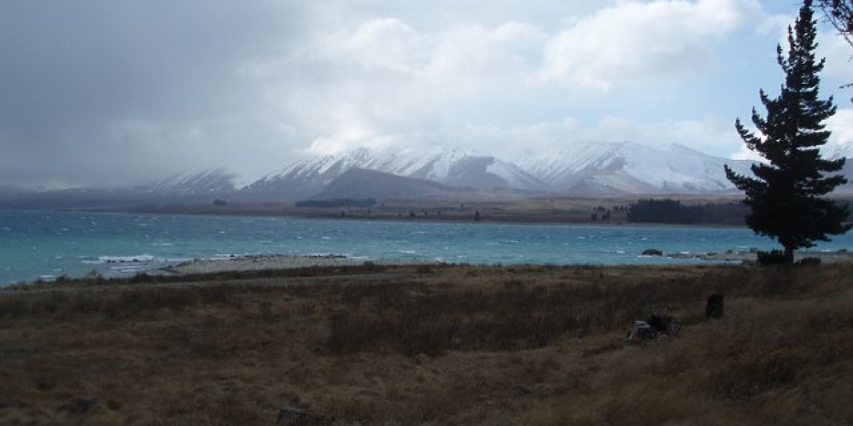 New Mexico's Best Bet