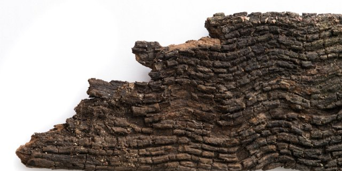 Top Free Spins No Deposit Bonuses for 2025 Win Real Money