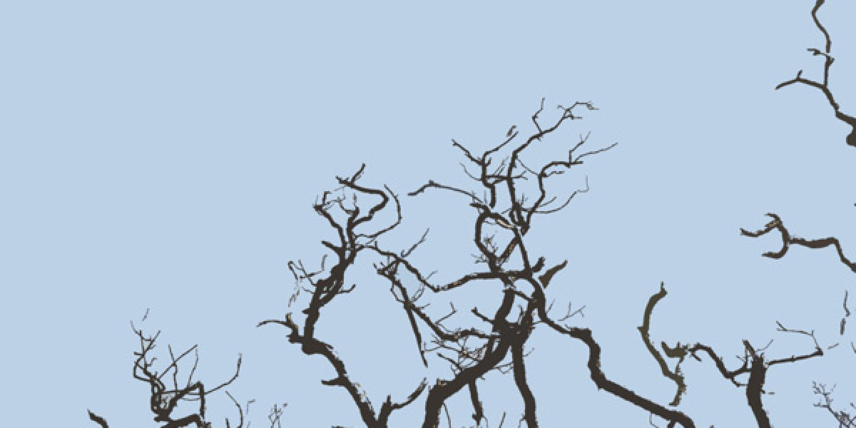 Stars Casino Review for US 2025 $50 bonus for new players