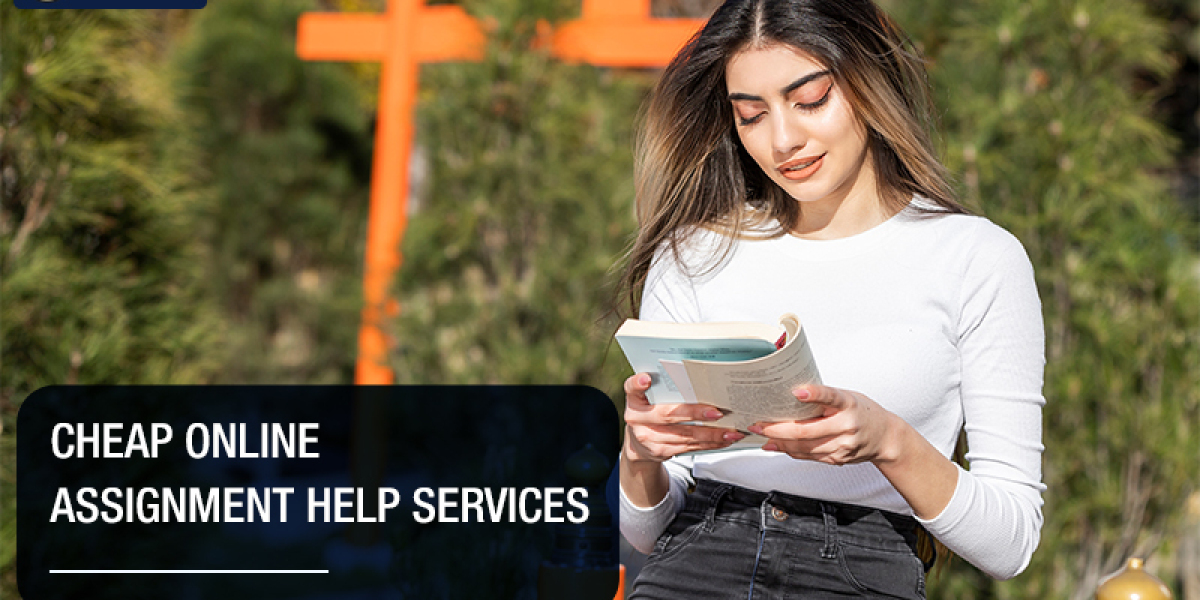 Who can provide the best Assignment help in New Zealand?