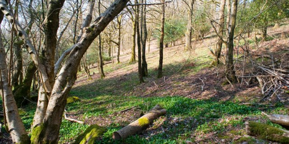 Meet the People Behind the Play