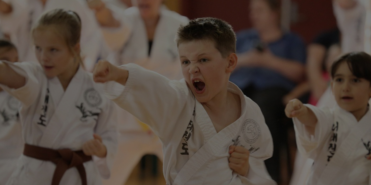 Best Taekwondo Centre for Kids and Adults with Experienced Instructors