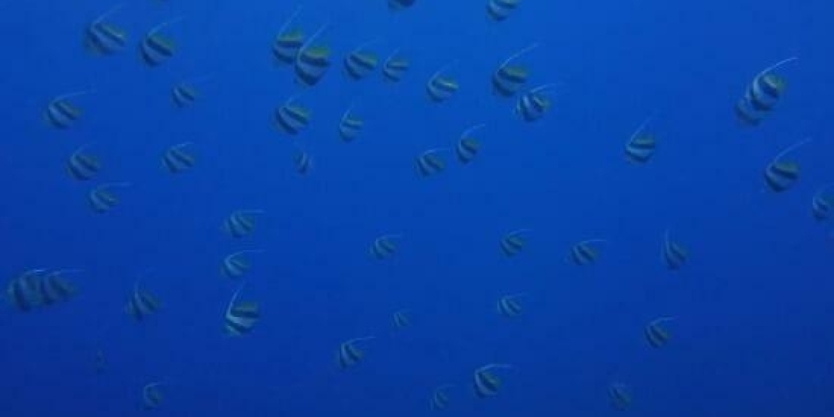 What every Property Pro Needs to Learn About Kickback Rules