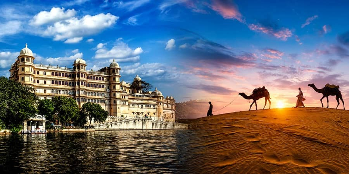 Top Wildlife Sanctuaries in Rajasthan for Nature Lovers