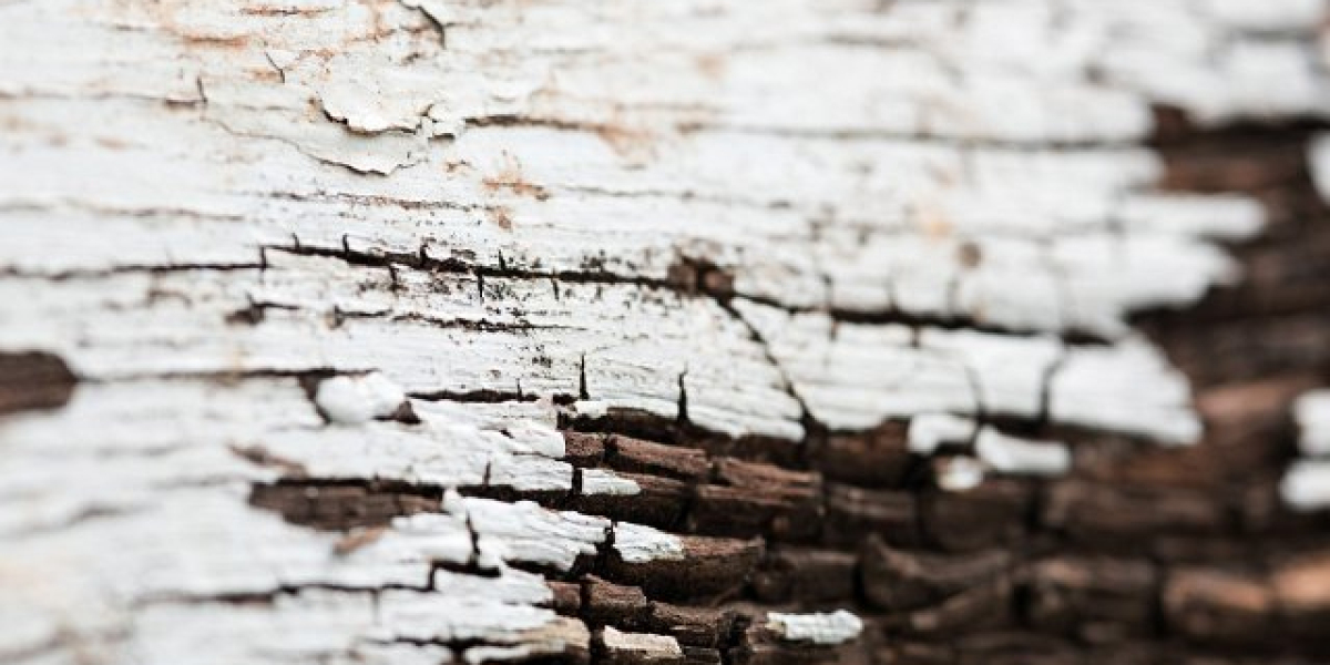 The Casino Canberra : A Capital Attraction