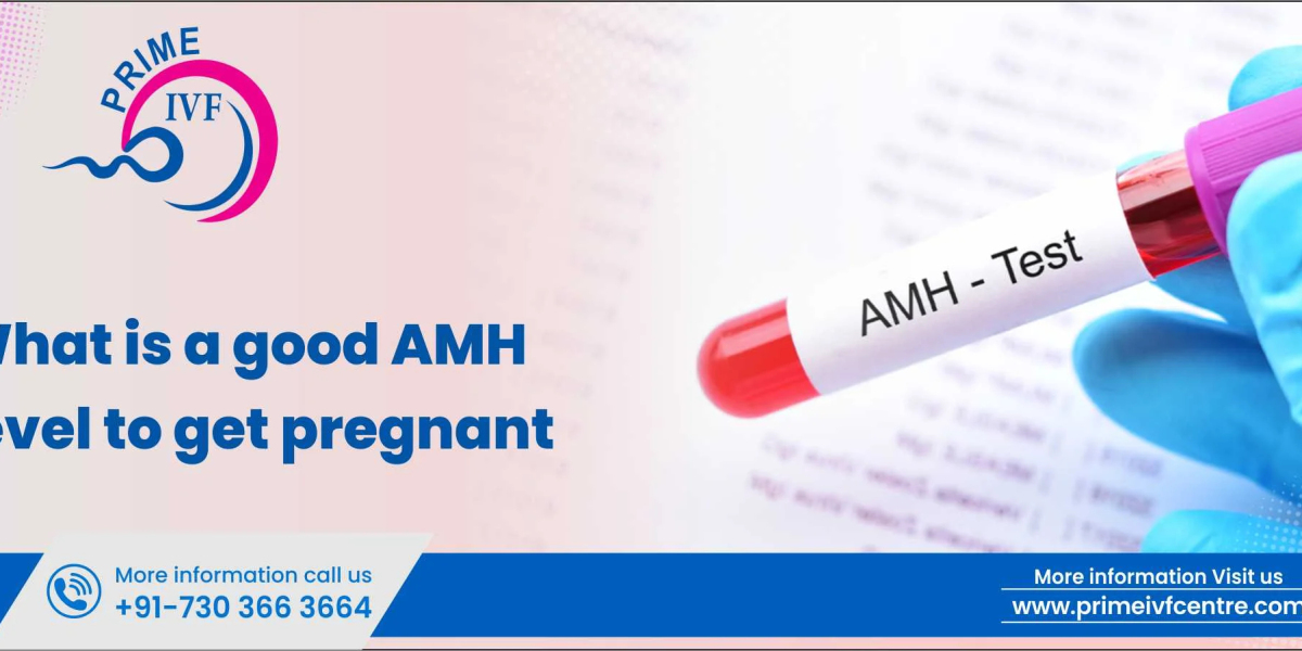 AMH Level to Get Pregnant