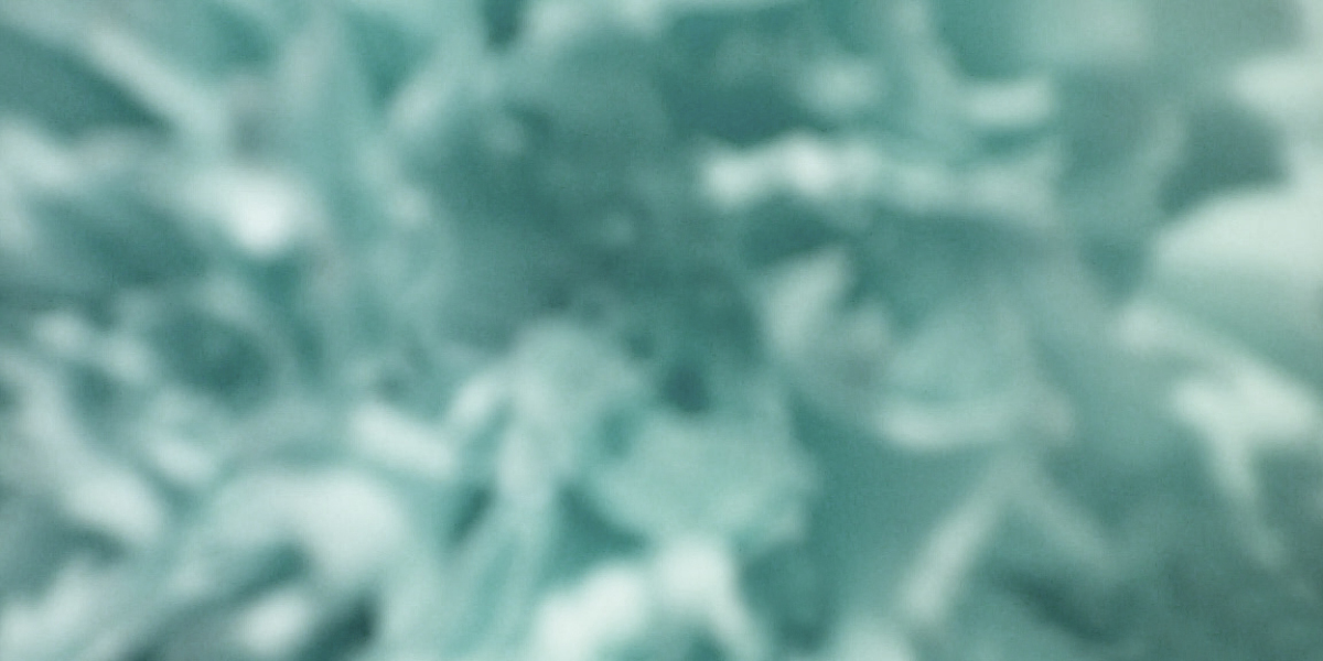 Welcome to Fair Go Online Casino