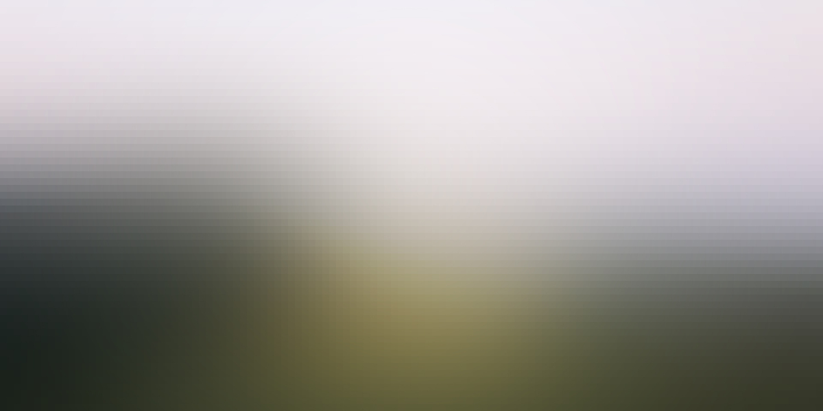 The Rise of Business Jet Charter: A new Period In Company Travel