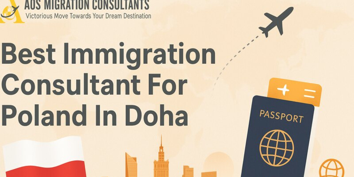 What services does a licensed immigration consultant typically provide?