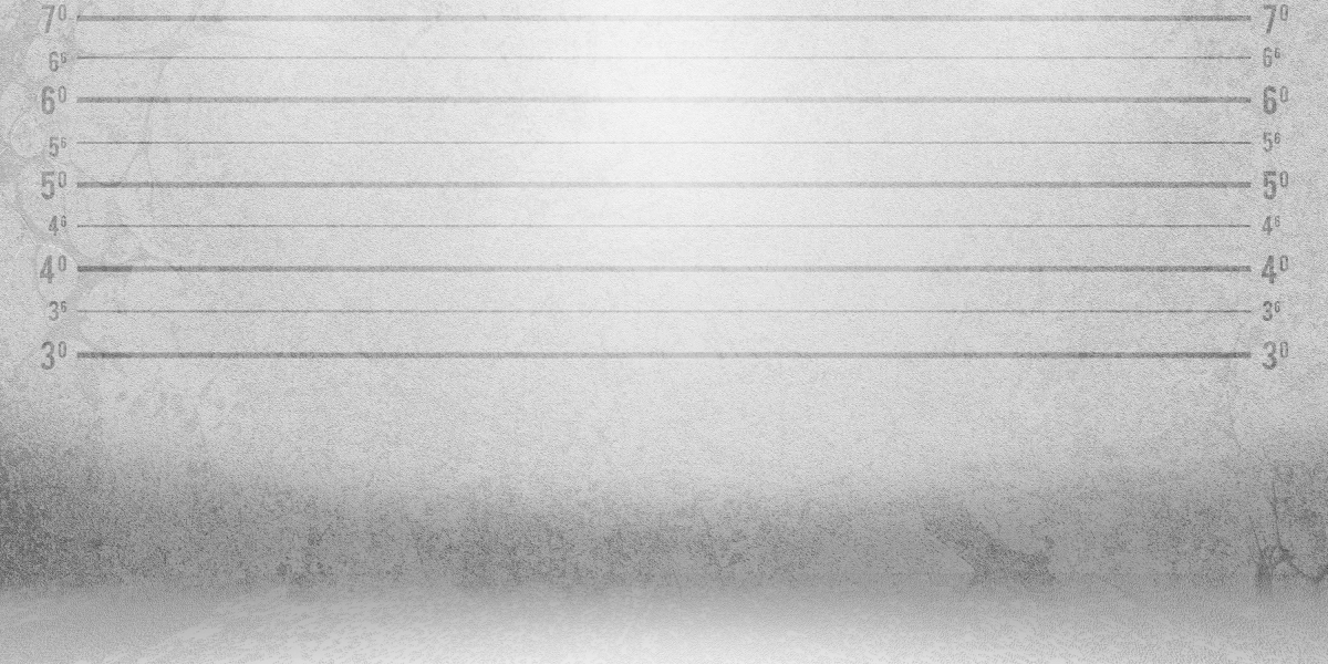 Exploring the Top 5 Private Jet Charters: A Brand new Period Of Luxury Journey