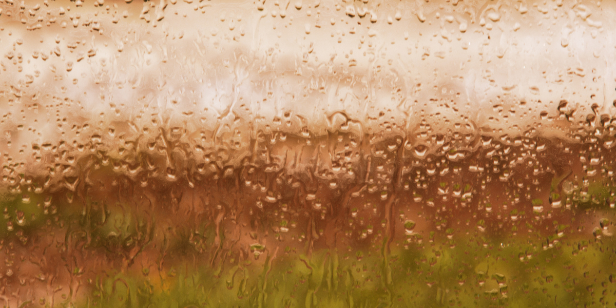 Understanding Gold IRA Accounts: A Complete Guide