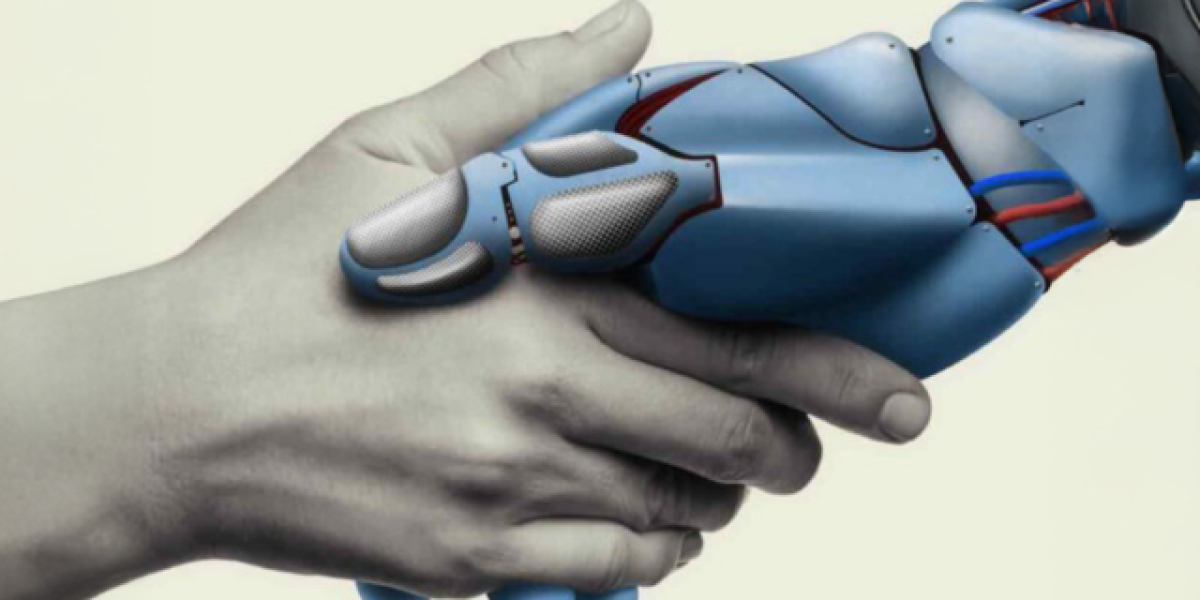 Understanding Business Regulations in Ontario for Smooth Operations