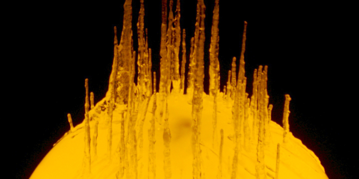 The Midwest Island Experience