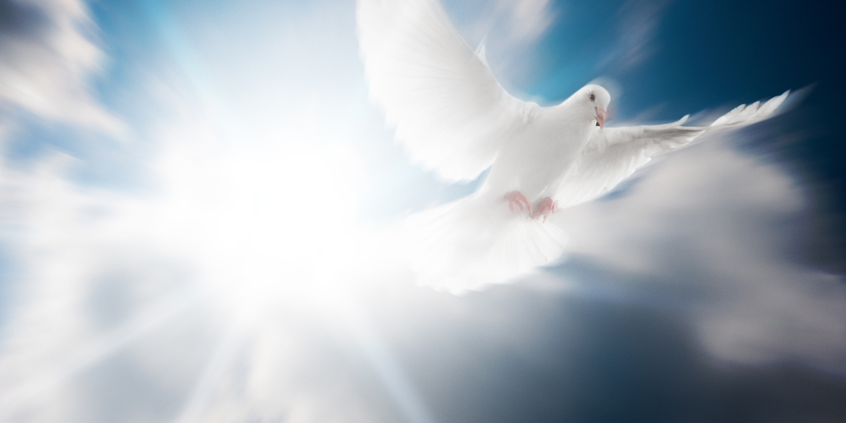 Observational Analysis on Gold Bars For Sale Online