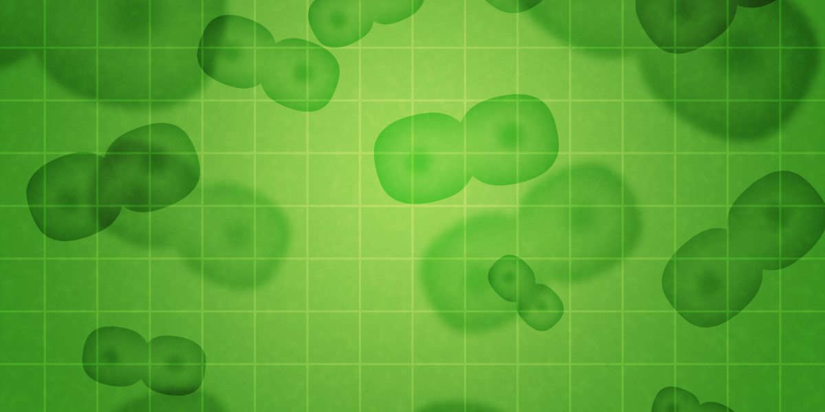 How to Acquire Modafinil within The UK: A Complete Information