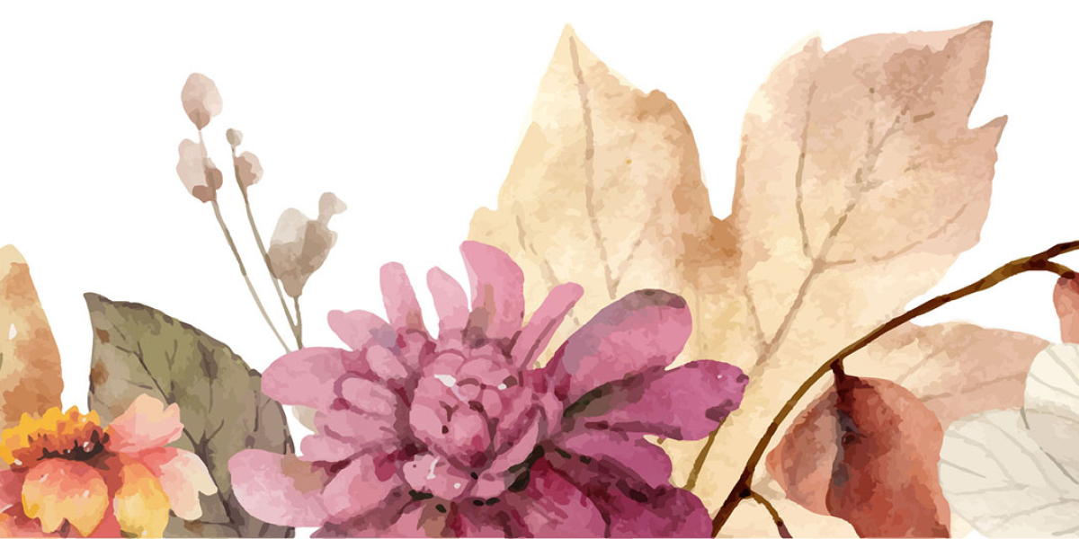 House Cleaning Service in Winnipeg for Deep and Weekly Cleaning Needs