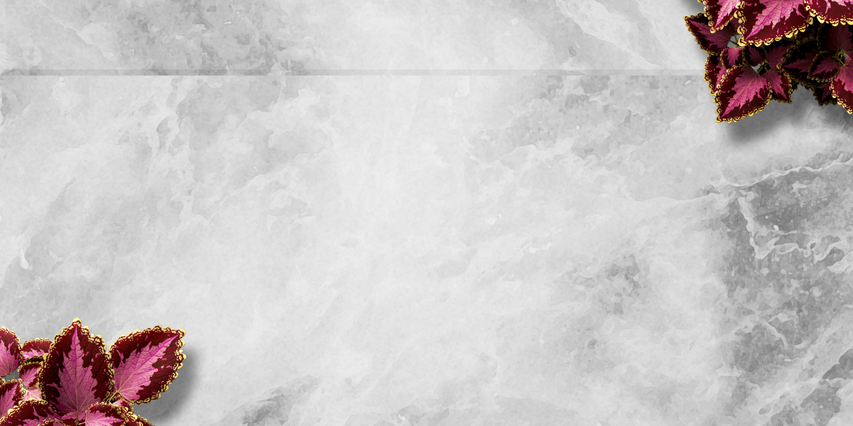 Exploring the World Of Private Jet Rentals: A Complete Research