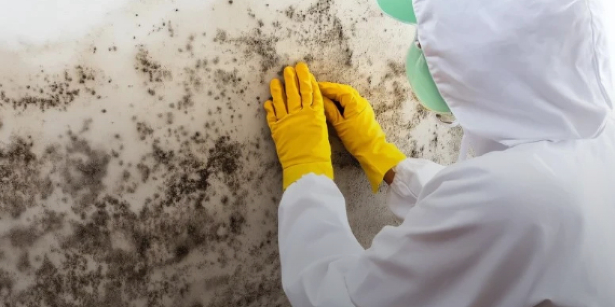 How to Remove Mold from Drywall and Prevent It from Coming Back