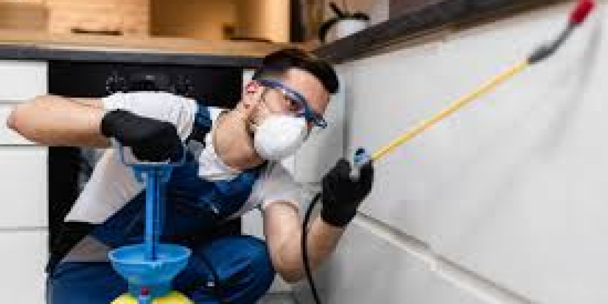 Protect What Matters Most with Orkin Pest Control