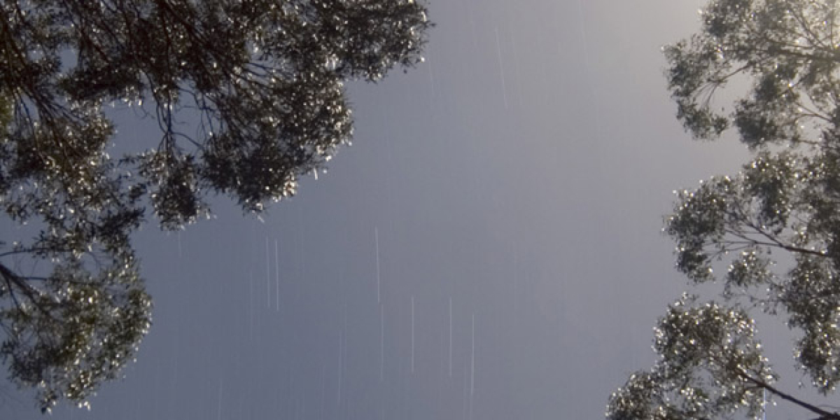 Welcome Bonus & VIP Rewards