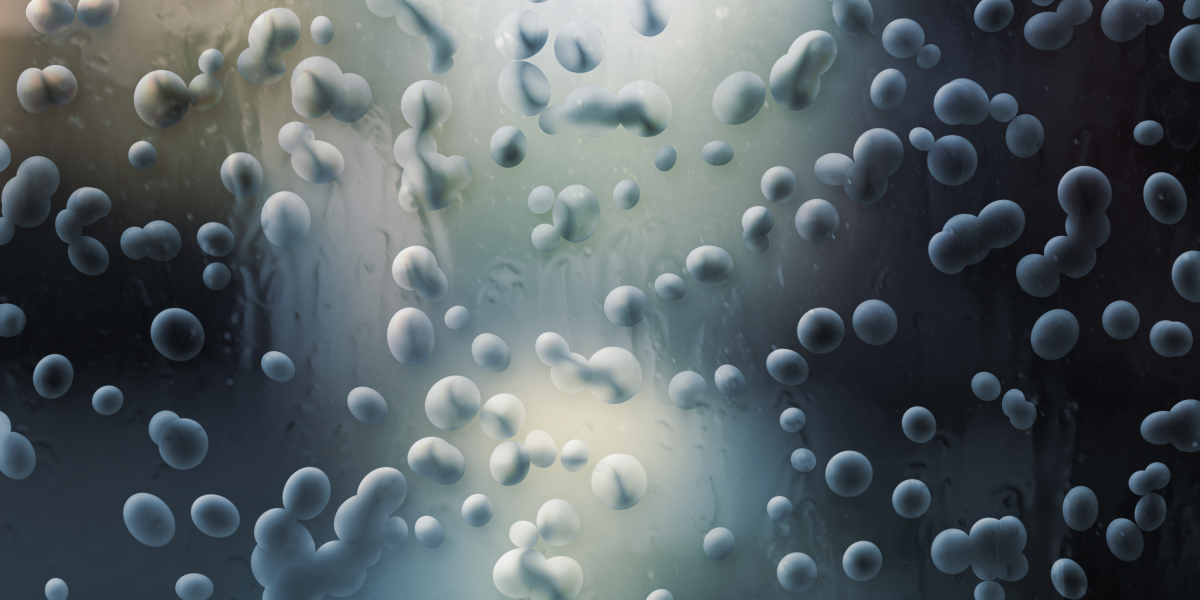 Exploring the Online Pharmacy Landscape for Modafinil: Accessibility, Legality, And Consumer Experiences