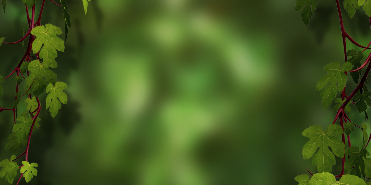 Investing in Gold IRA: A Case Study On Wealth Preservation