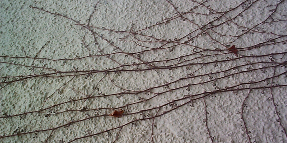 The Star Gold Coast Concert Tickets & Events Schedule 2025-2026 Broadbeach, Queensland, Australia