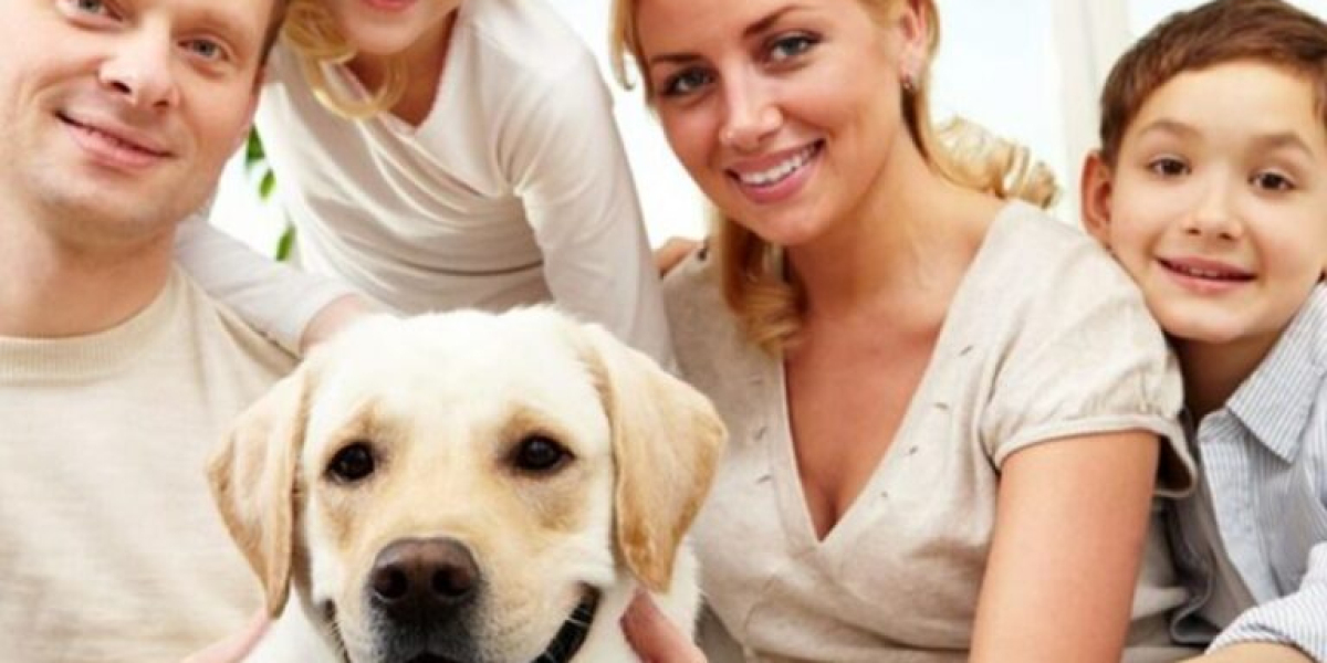 General Dentistry in Oakville- Trusted Oakville Family Dentist