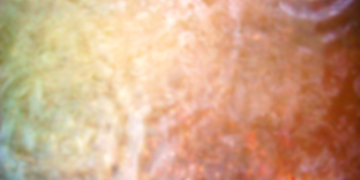 Trusted & Independent US Online Casino Reviews 2025