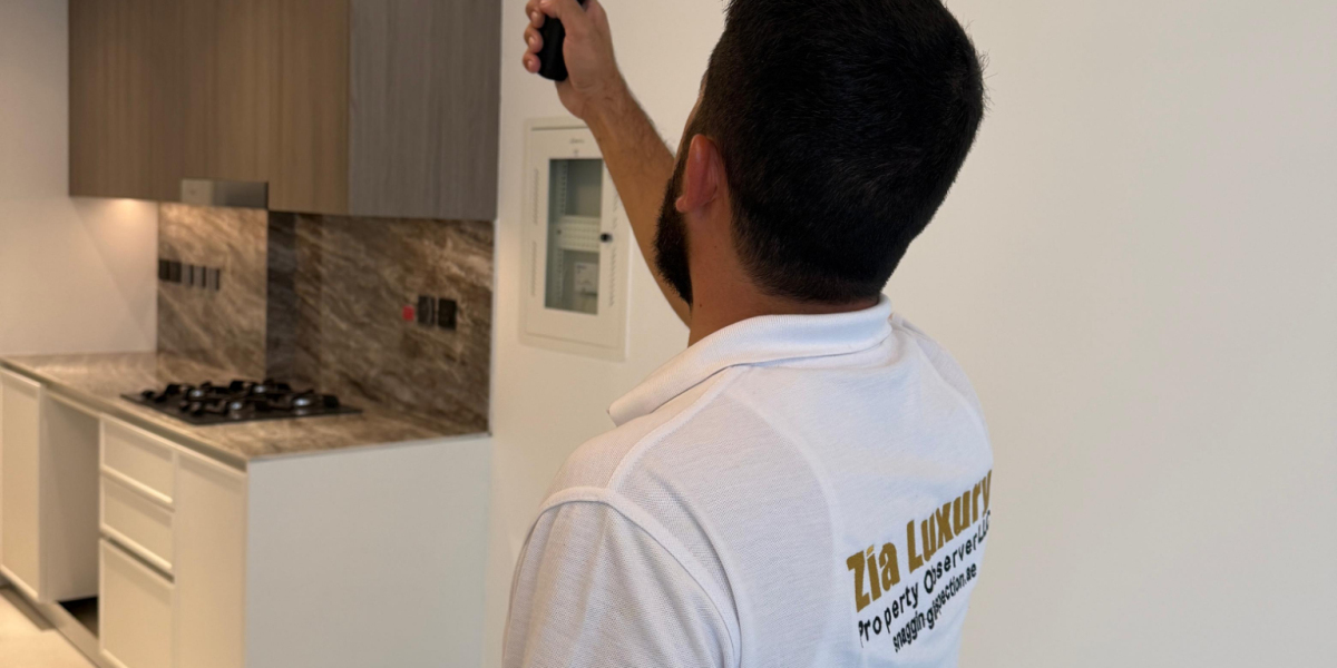 residential-property-inspection-uae