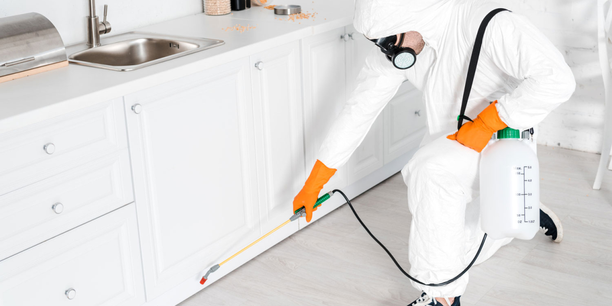 Modern Pest Control Techniques Every Homeowner Should Know