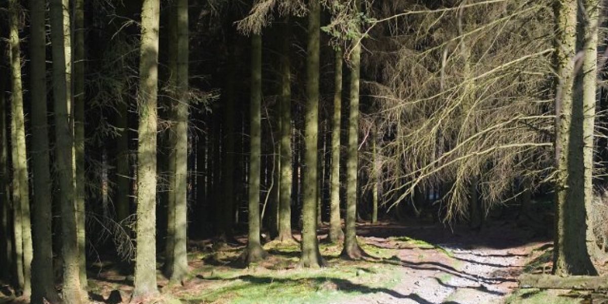 Meet the People Behind the Play