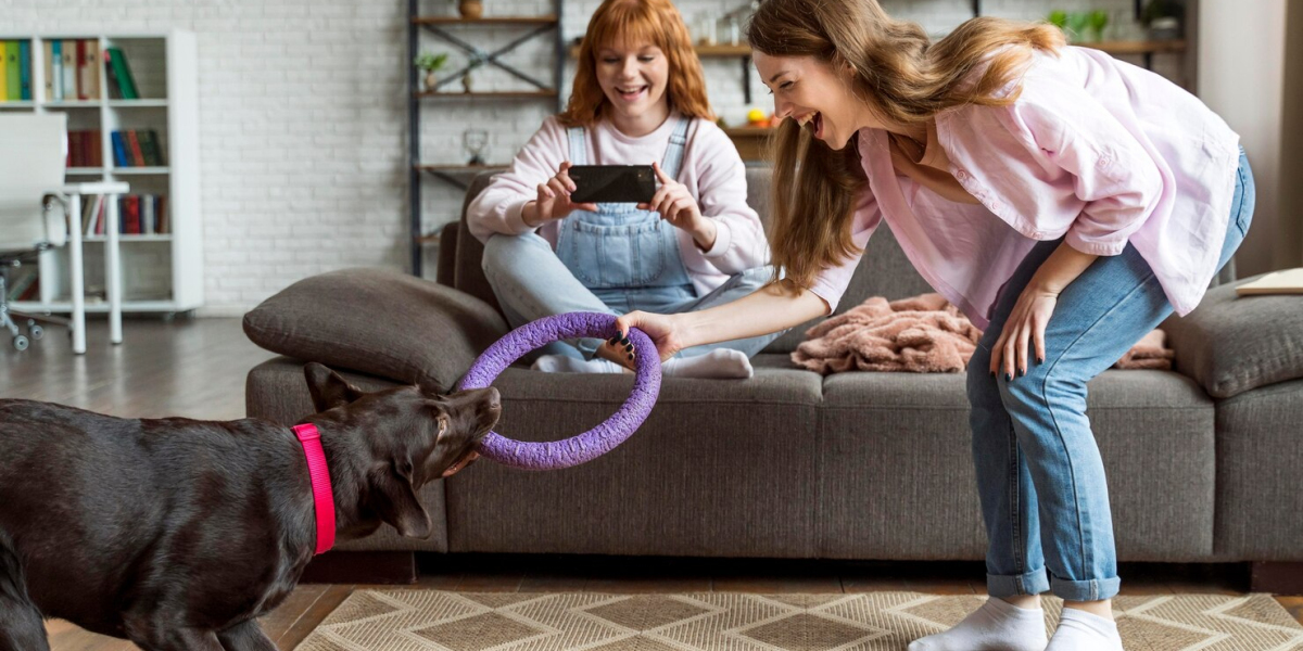 Top 7 Ways to Save on Pet Supplies Year-Round