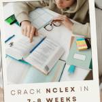 ngnclasses courses