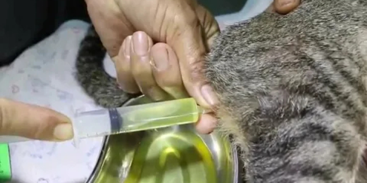 Bobcat Urine: A Powerful Natural Tool for Wildlife Control, Habitat Management, and Outdoor Use