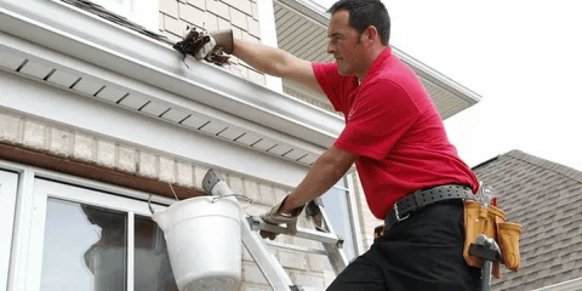 Gutter Cleaning Swan Bay: Protect Your Home With Professional Local Experts