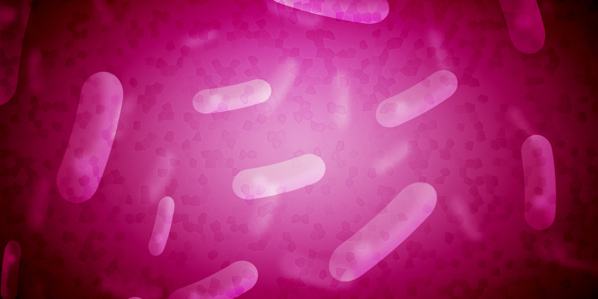 The Rise of Empty Leg Private Jet Charters: A new Period of Reasonably Priced Luxury Travel